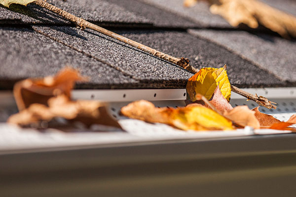 Gutter Rx Self Cleaning Ridges