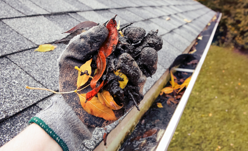 Painless Gutter CLeaning in Grand Rapids, MI