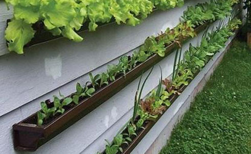 Custom seamless rain gutter used for herb gardens