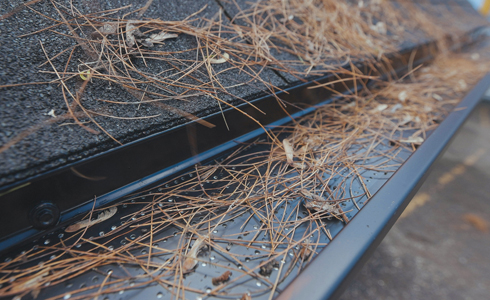 DoublePro LEaf Filter by Alu-Rex, installed by All Gutter Systems
