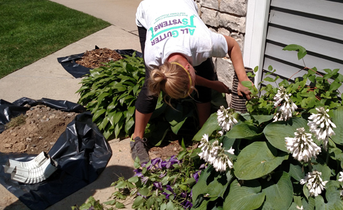 Drain Tile protects expensive landscaping