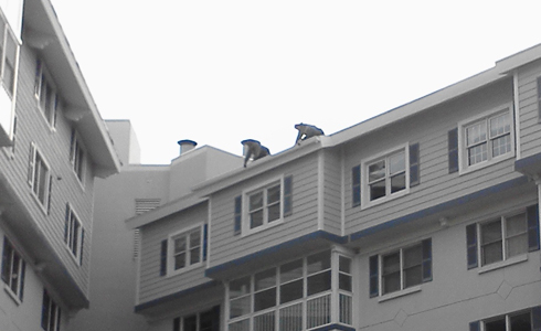Industrial and commercial gutter from All Gutter Systems.