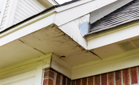 Fascia and Soffit repair and replacement