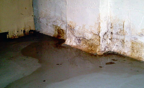 Wet basement from lack of rain gutters.