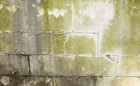 No rain gutters can cause mold in your basement.