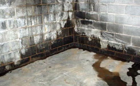 Water damage to basement concrete, from no gutters.