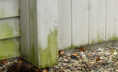 Keep water away form your foundation with rain gutters from All Gutter Systems.